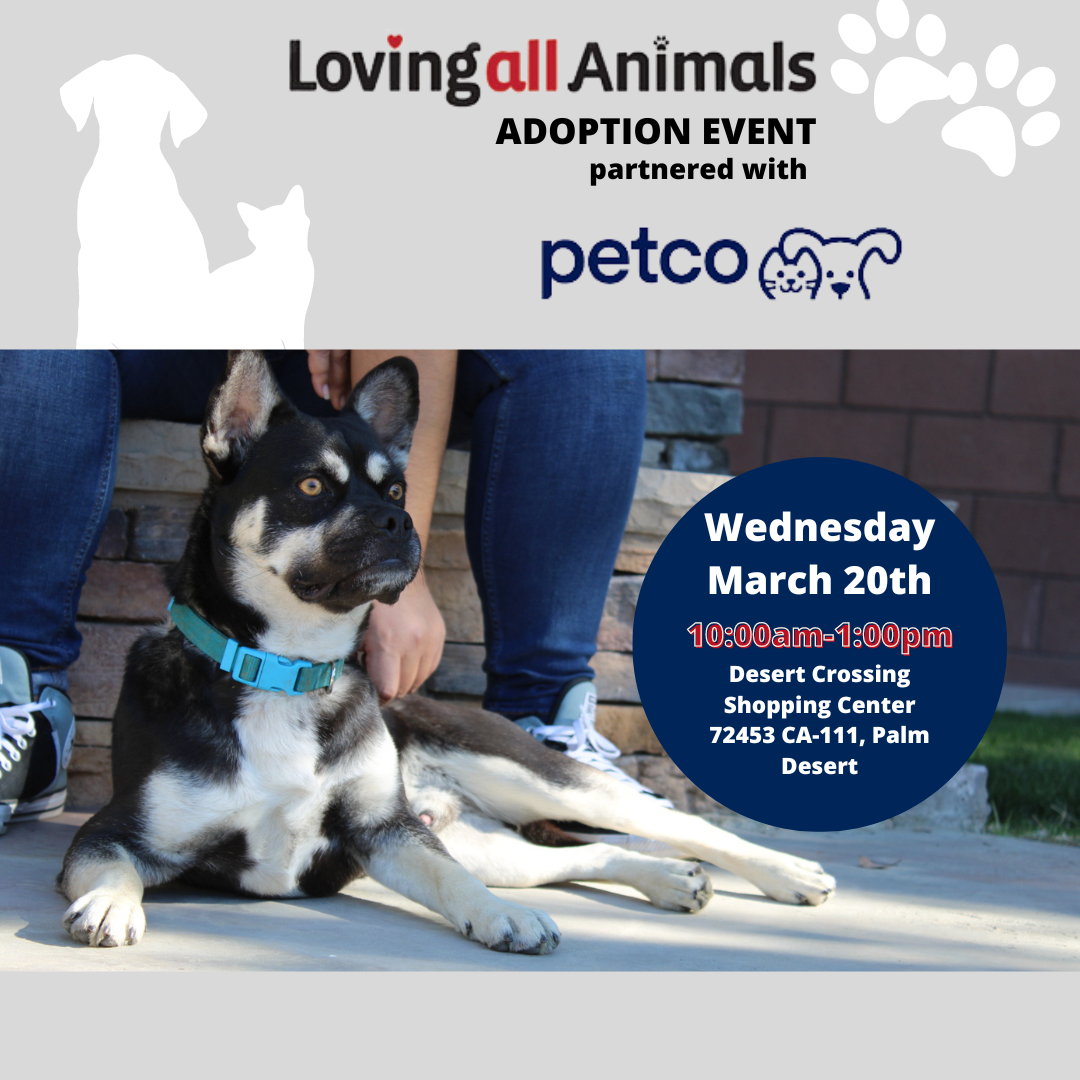petco-adoption-event-loving-all-animals